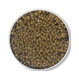 Caviar Caviar